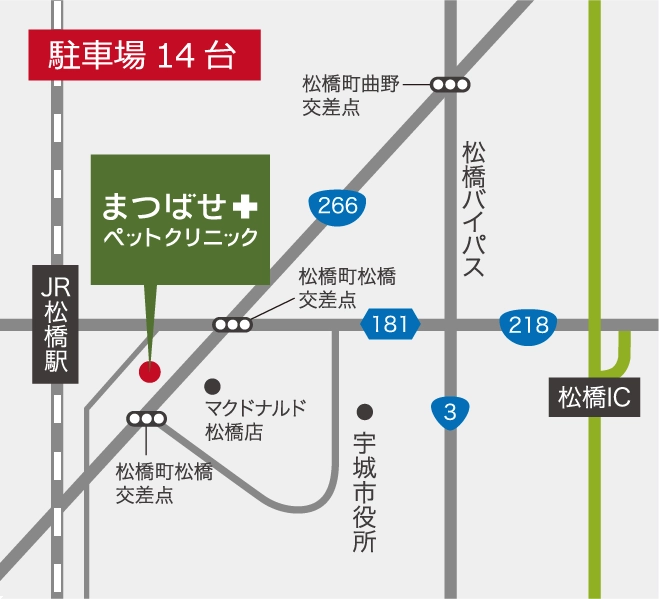 松橋駅からまつばせペットクリニックまでの地図